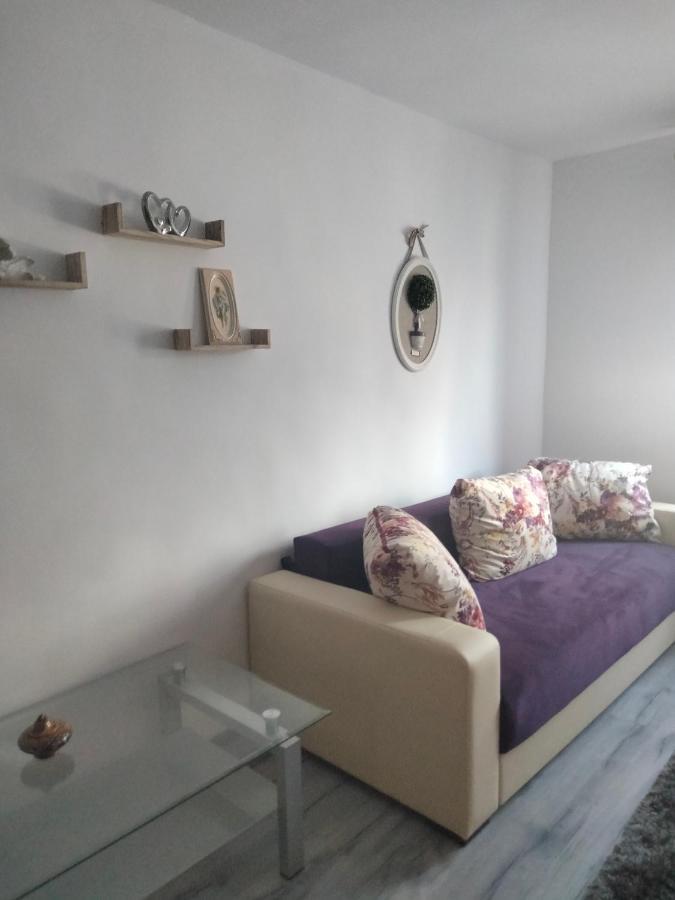 Apartament Geo Nehoiu Exterior photo