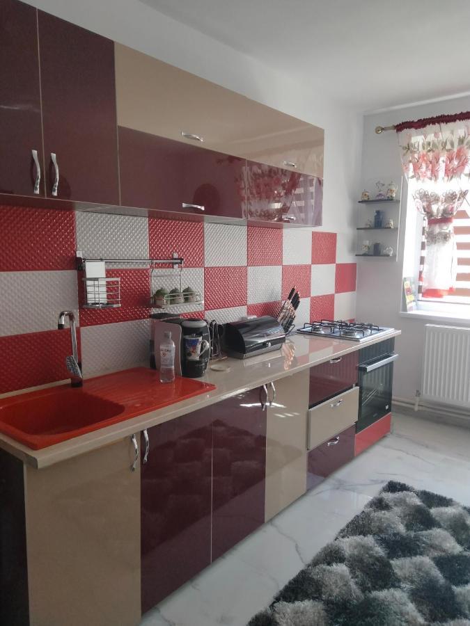Apartament Geo Nehoiu Exterior photo