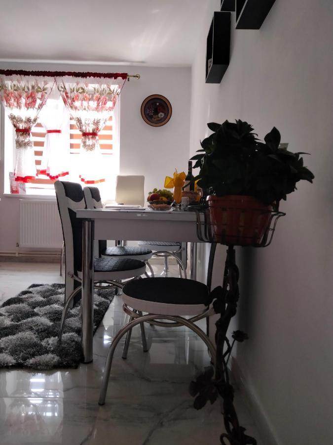 Apartament Geo Nehoiu Exterior photo